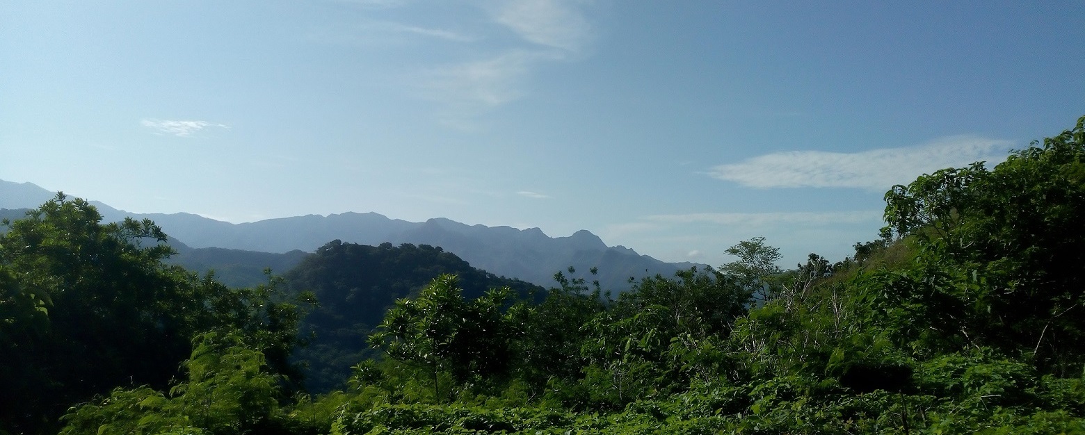 Greenery and Hills